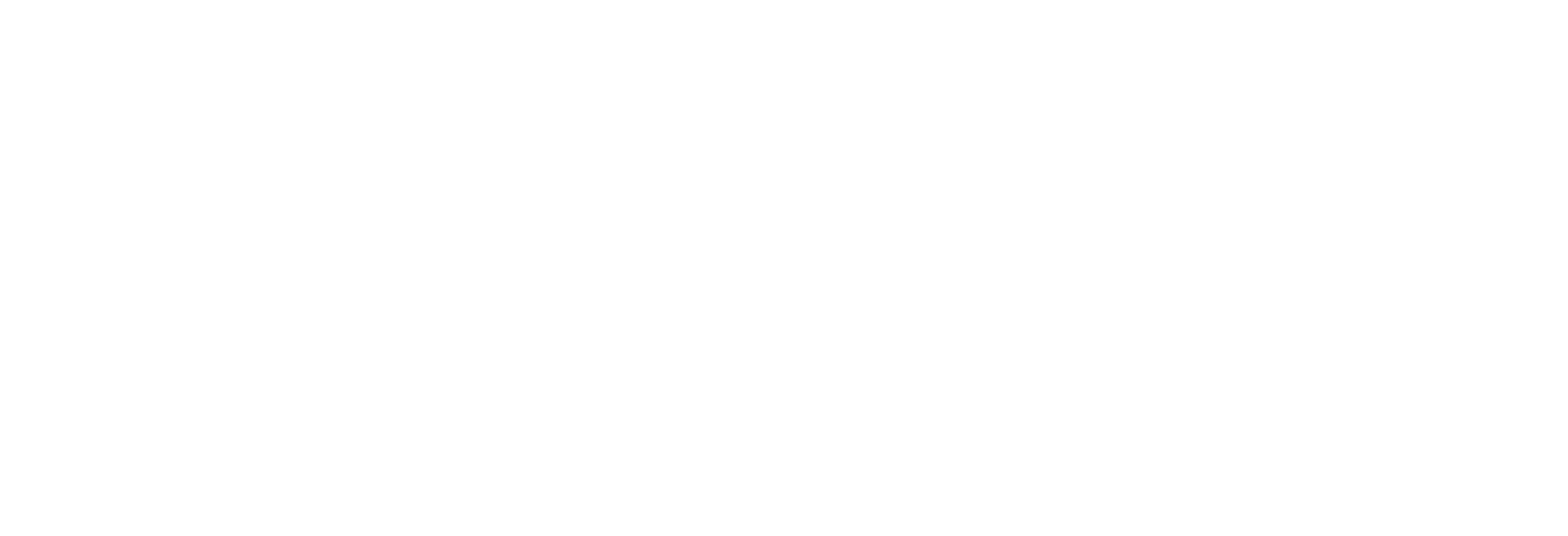 Rumex Logo